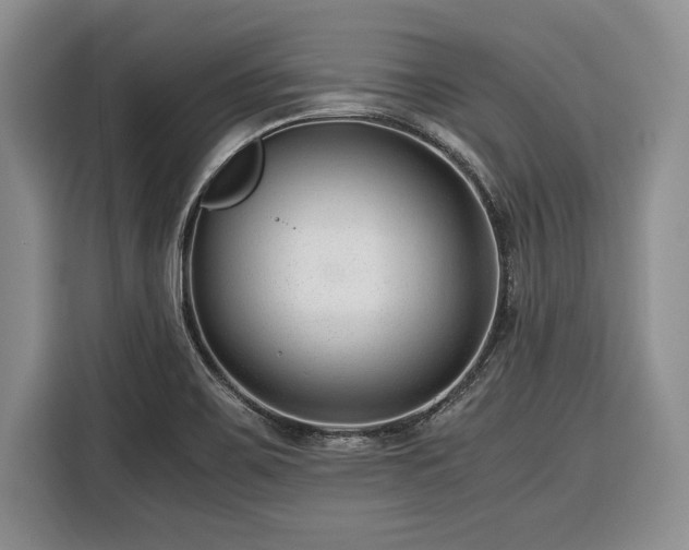 X0000116391467200912091425