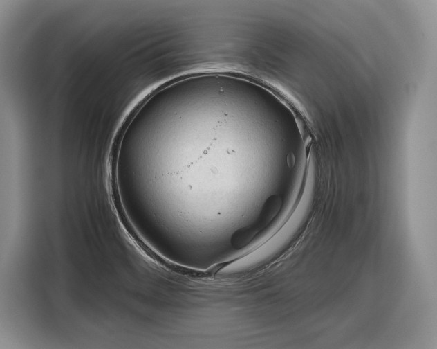 X0000116391468200912091425
