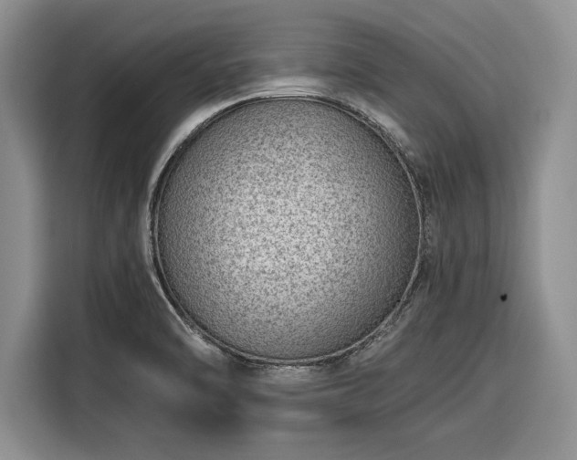 X0000116391470200912091425