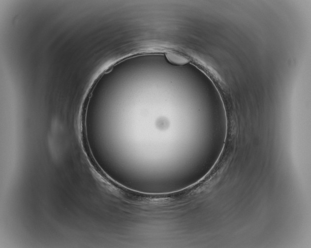 X0000116391471200912091425
