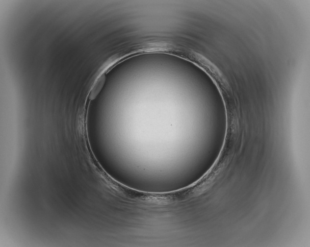 X0000116391473200912091425
