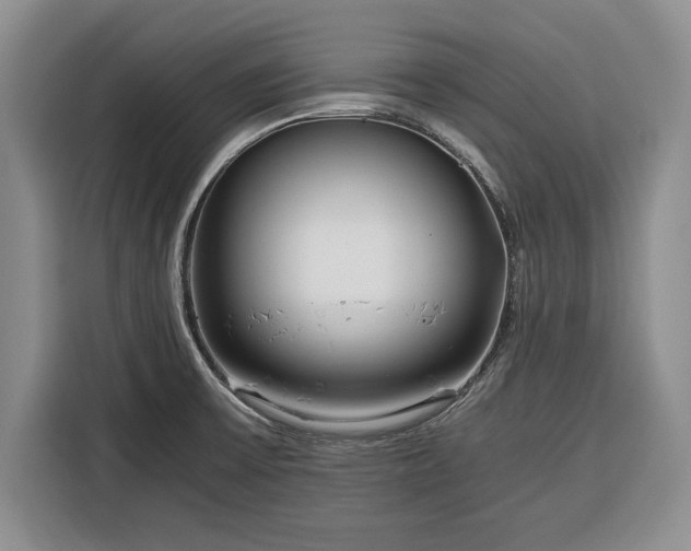 X0000116391475200912091425