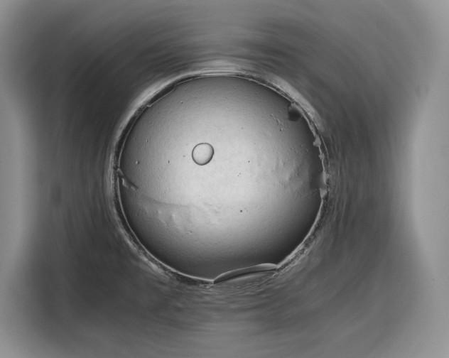 X0000116391477200912091425