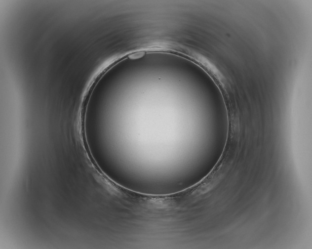 X0000116391480200912091424