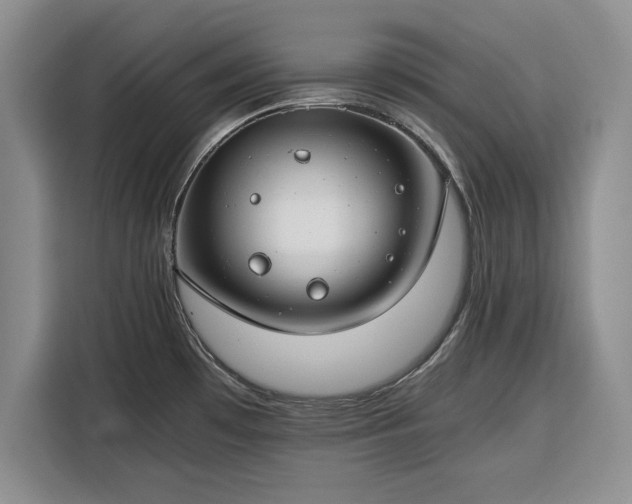 X0000116391481200912091424