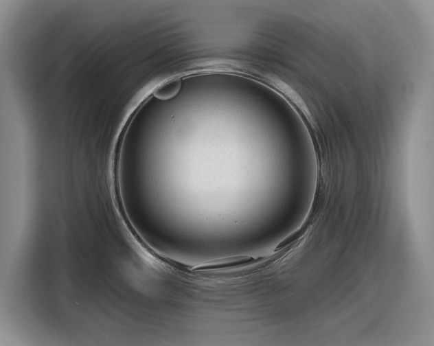 X0000116391482200912091424