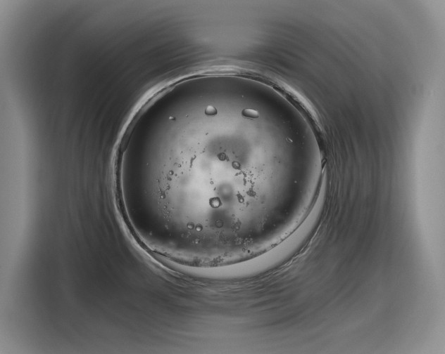 X0000116391483200912091424