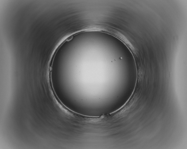 X0000116391484200912091424