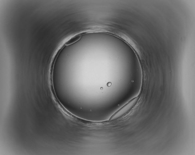X0000116391485200912091424