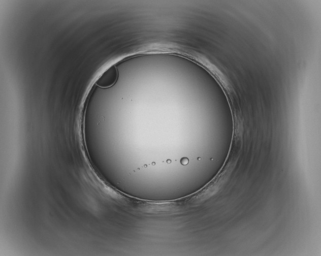X0000116391486200912091424