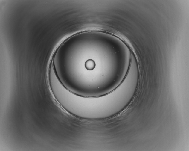 X0000116391488200912091424