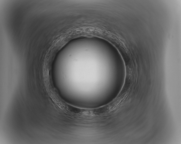 X0000116391489200912091424