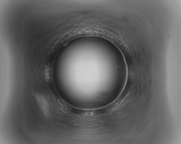 X0000116391490200912091424