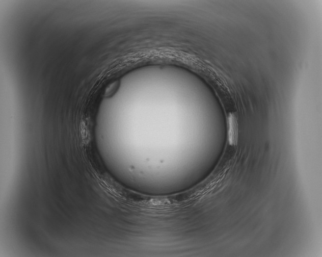 X0000116391491200912091424