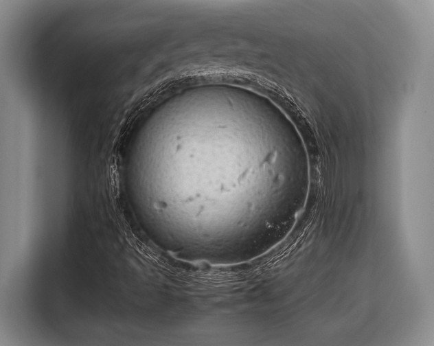 X0000116391493200912091424