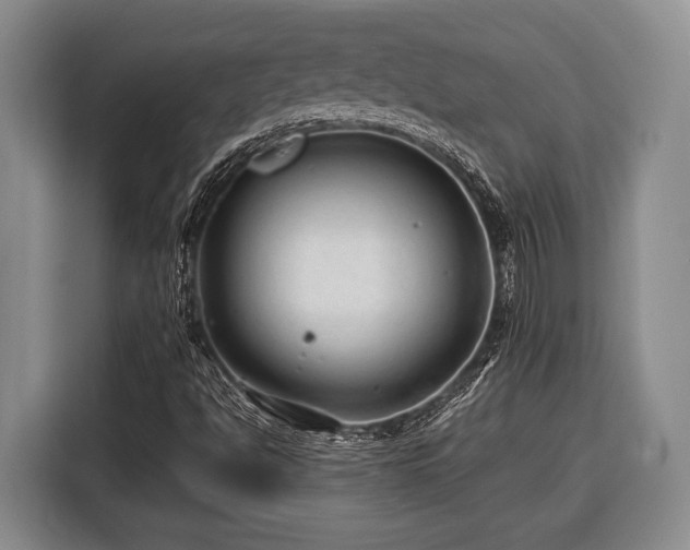 X0000116391494200912091424