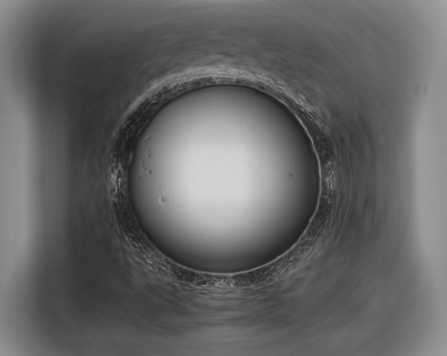 X0000116391495200912091424