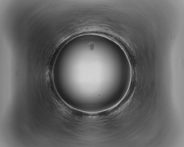 X0000116391497200912091424