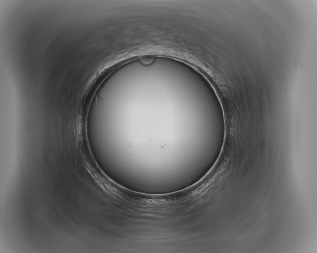 X0000116391499200912091424