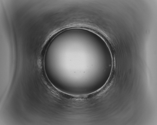 X0000116391501200912091424