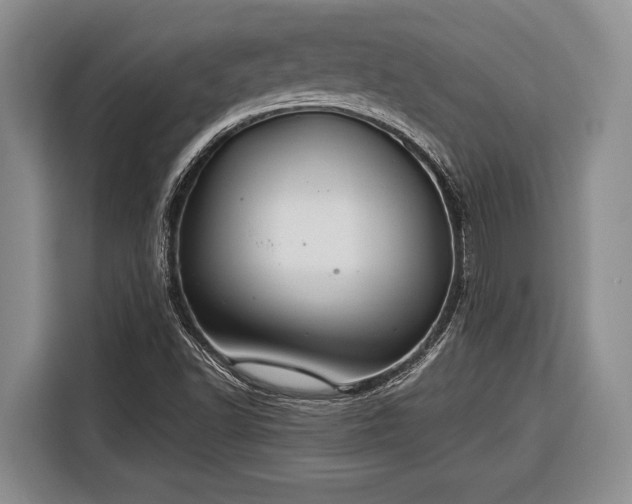 X0000116391502200912091424