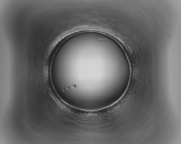 X0000116391503200912091424
