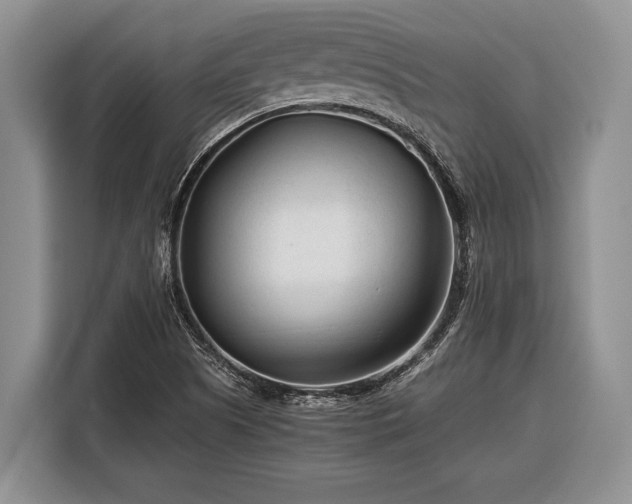 X0000116391505200912091424