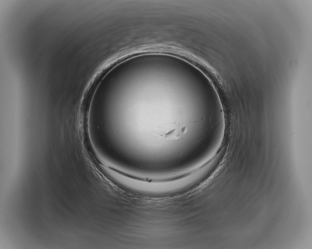 X0000116391506200912091424