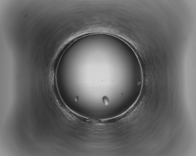 X0000116391507200912091424