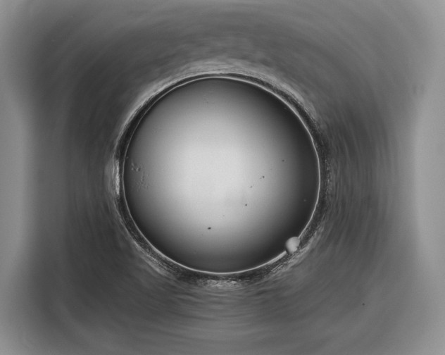 X0000116391509200912091424
