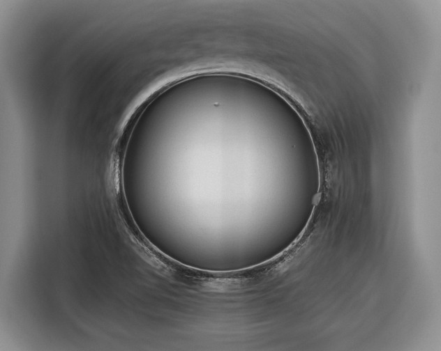 X0000116391510200912091424