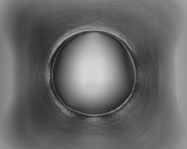 X0000116391511200912091424