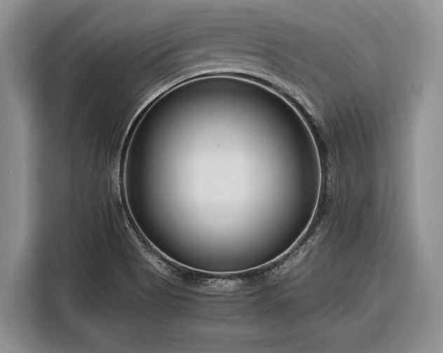 X0000116391513200912091424