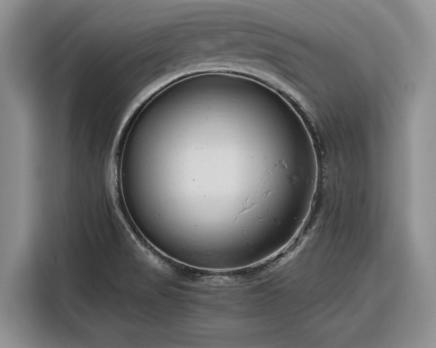 X0000116391517200912091424