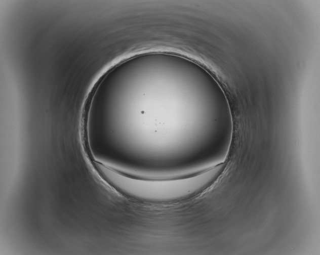 X0000116391518200912091424