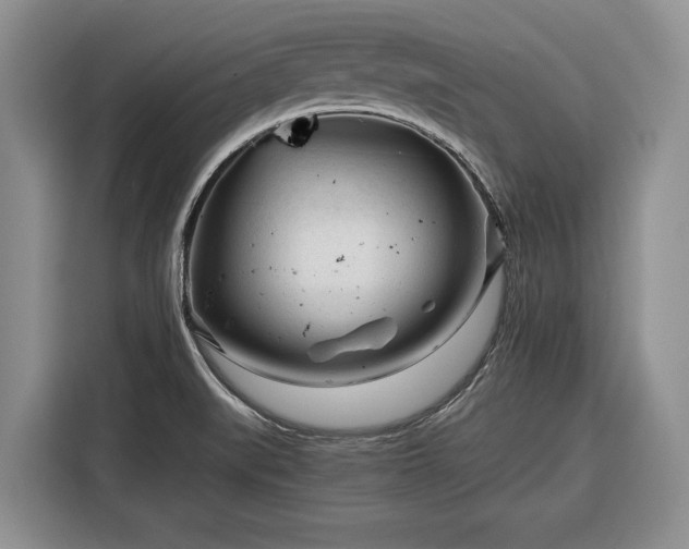 X0000116391519200912091424