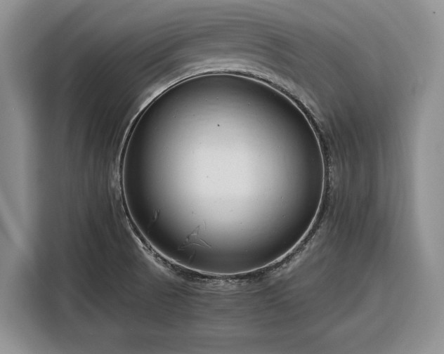 X0000116391521200912091424