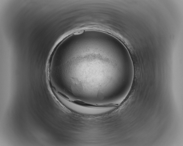 X0000116391522200912091424
