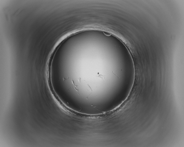 X0000116391523200912091424
