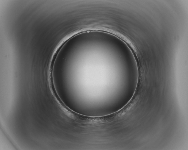 X0000116391525200912091424