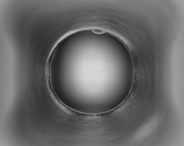 X0000116391526200912091424