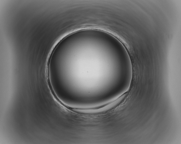 X0000116391527200912091424