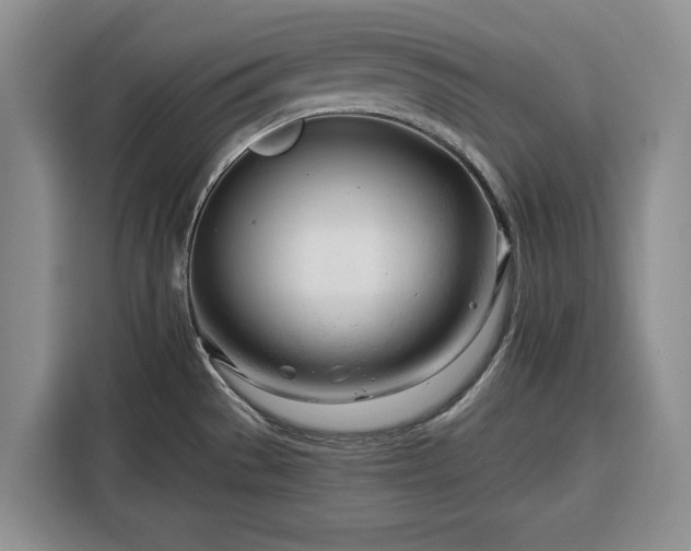 X0000116391529200912091424