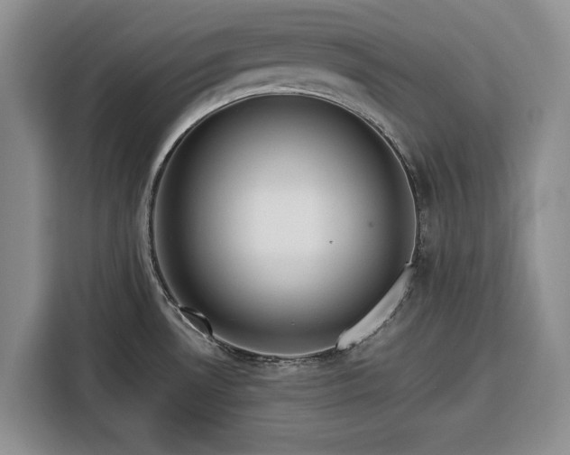 X0000116391530200912091424