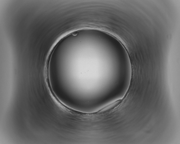 X0000116391531200912091424
