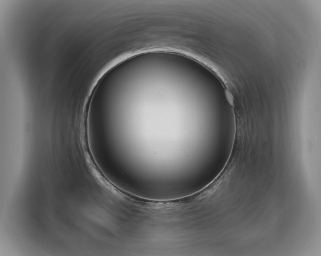 X0000116391534200912091424