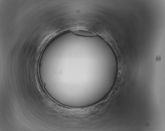 X0000116390001200912161535