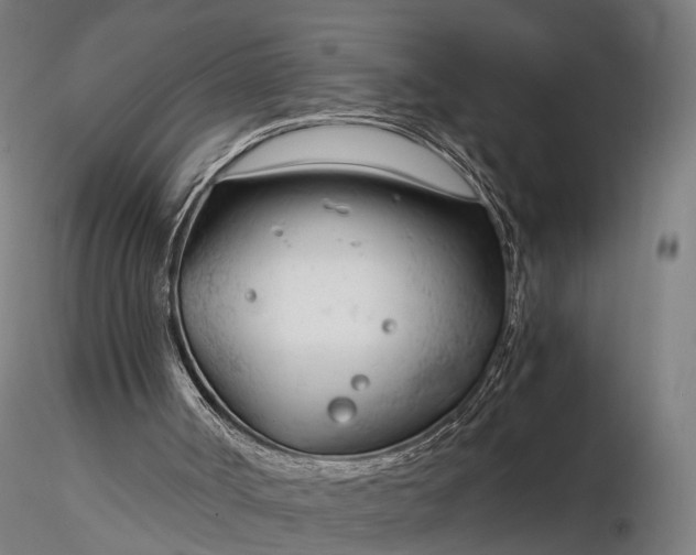 X0000116390002200912161535