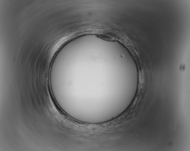 X0000116390003200912161535