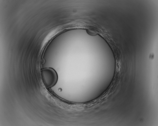 X0000116390004200912161535